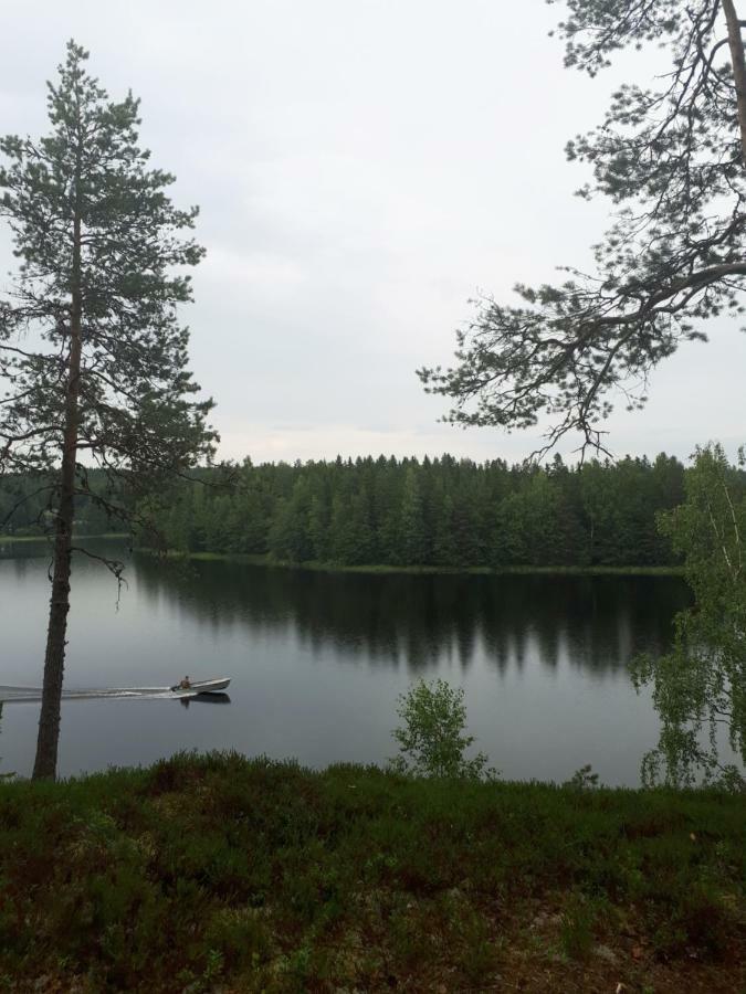 Коттедж В Финляндии, Enonkoski Extérieur photo
