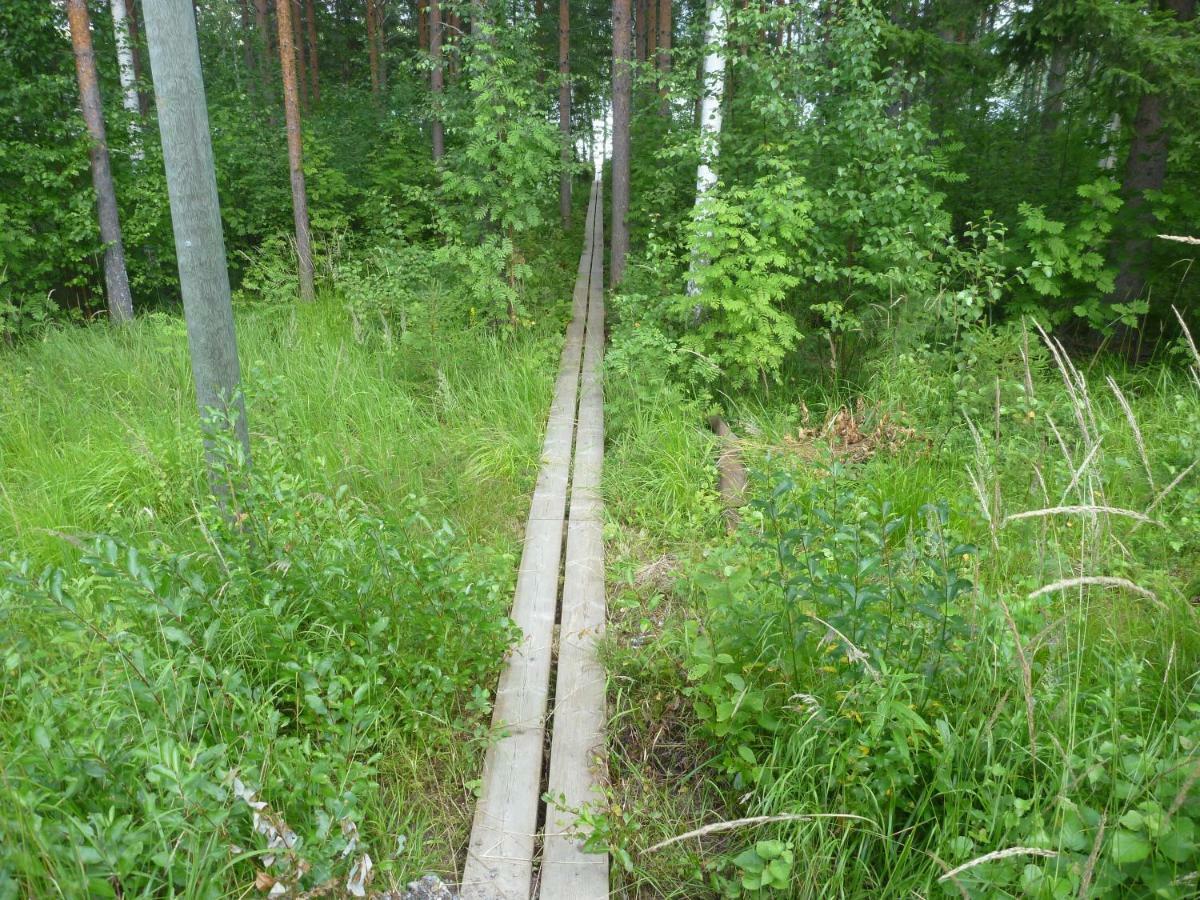 Коттедж В Финляндии, Enonkoski Extérieur photo